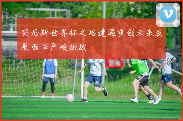 突尼斯世界杯之路遭遇重创未来发展面临严峻挑战